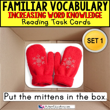 VOCABULARY and PICTURES WORD KNOWLEDGE Task Box Filler Activities for Autism SET 1